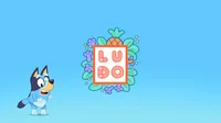 Ludo studios 