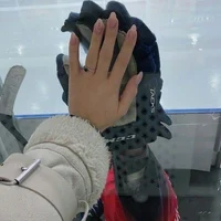 Hockey Player