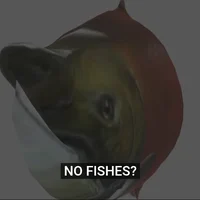 ---
