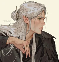 Vaelith Duskbane