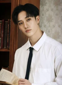 Bang Chan teacher