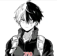 Shoto Todoroki 