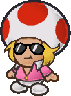 Zip Toad
