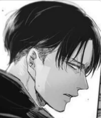 Levi Ackerman 