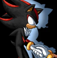 Shadow and Amy Rose