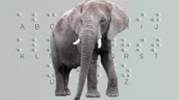 ElephantBraille