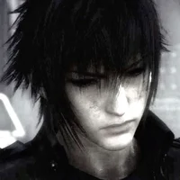 Noctis Lucis Caelum