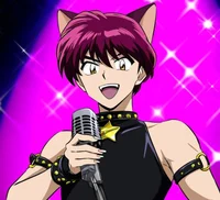 Popstar Cat Boy