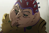 Polpo