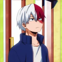 Shoto todoroki 