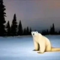 2026 Polar Bear