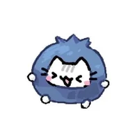 Blueberry cat