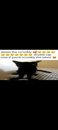 Aww the scrunkly