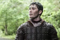 Podrick P