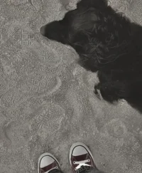 sirius o black