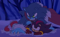 Sonadow- Werehog