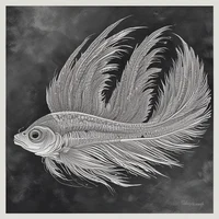Feather fish 