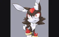 Shadow the bunny
