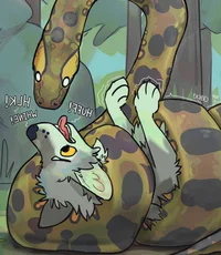 Anaconda and wolf