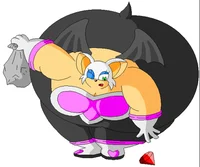 Rouge Cant reach