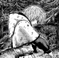 Thorfinn Karlsefni
