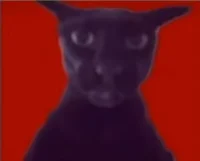 LARRY - the evil cat