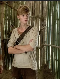 Newt