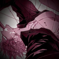 DonquixoteDoflamingo