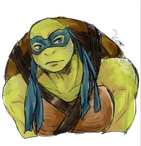Leo TMNT bayverse