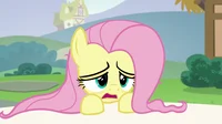 Fluttershy