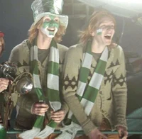 Gemelos weasly 