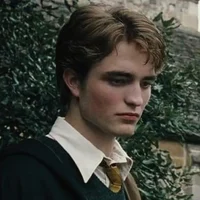 Cedric Digory 
