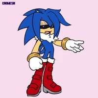 SONIC THE HEDGEHOG