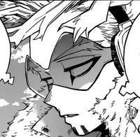 Hawks