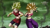 Caulifla and Kale