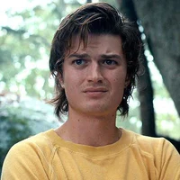 Steve Harrington 