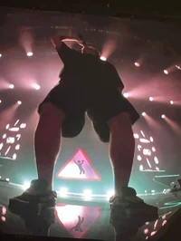 Данила Кашин 