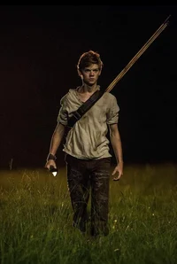 Newt 