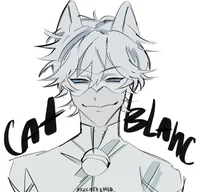 Chat Blanc