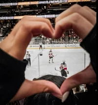 R- Nicholas Dashwood