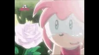 Amy Rose