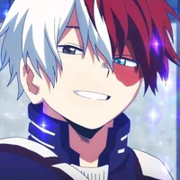 Shoto Todoroki 