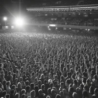 Crowd