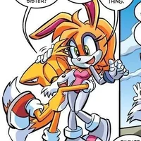 Tails x Bunnie