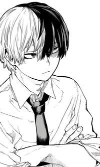 MHA - Shoto Todoroki