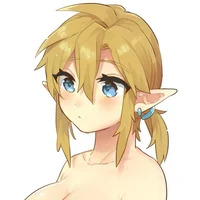 Linkle - Botw