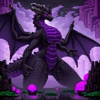 Ender Dragon Twinnin
