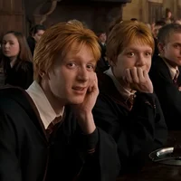 Gemelos weasley