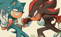 Shadow sonic fr 