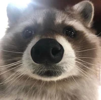 @bbtag2when - Character AI chatbot creator profile picture
